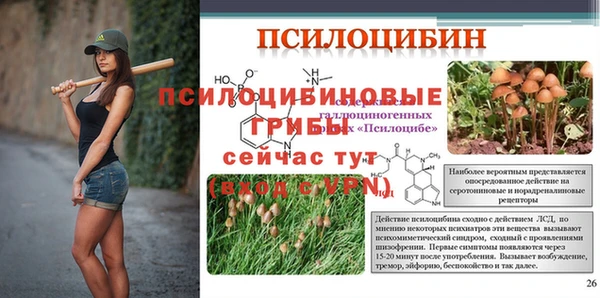 твердый Балахна