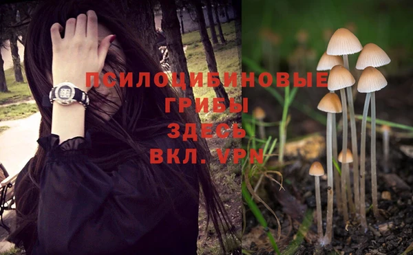 ГАЛЛЮЦИНОГЕННЫЕ ГРИБЫ Баксан