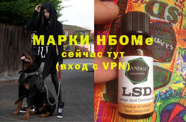 ГАЛЛЮЦИНОГЕННЫЕ ГРИБЫ Баксан