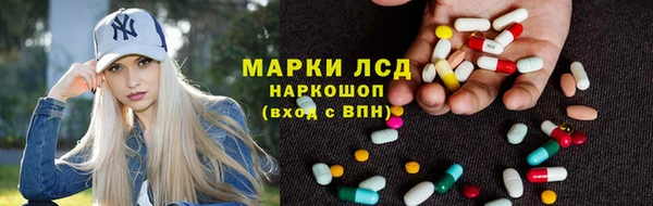 ГАЛЛЮЦИНОГЕННЫЕ ГРИБЫ Баксан