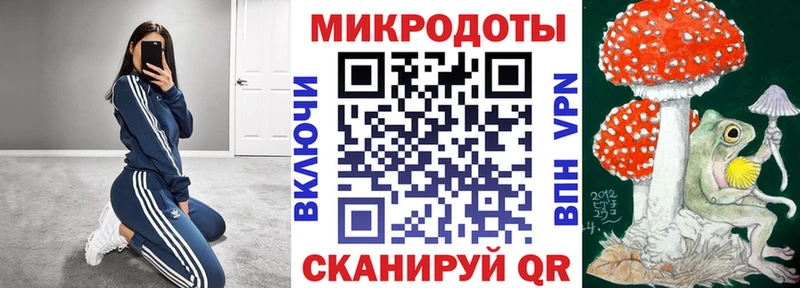 Псилоцибиновые грибы Psilocybe  где продают   мега сайт  Лахденпохья 